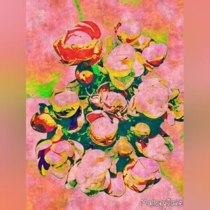 Poppin' Pink Peonies! Original Artwork by MalloryJane 26" x 20" Canvas Or Framed